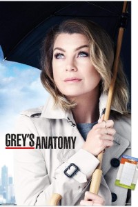 Download Grey’s Anatomy (Season 1-21) [S21E08 Added] {English With Subtitles} 720p Bluray [280MB] || 1080p [1GB]