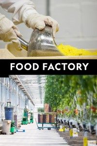 Download Food Factory (Season 1 – 6) Dual Audio {Hindi-English} 720p 10Bit [250MB] || 1080p [2GB]