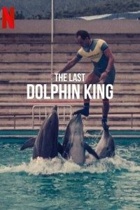 Download The Last Dolphin King (2022) {English With Subtitles} 480p [300MB] || 720p [750MB] || 1080p [1.8GB]