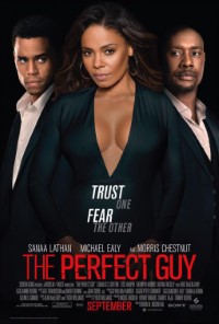 Download The Perfect Guy (2015) Dual Audio (Hindi-English) 480p [325MB] || 720p [895MB] || 1080p [2.10GB]