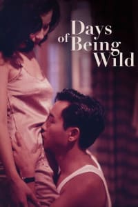 Download Days of Being Wild (1990) (Chinese Audio) Esub Bluray 480p [290MB] || 720p [725MB] || 1080p [1.8GB]