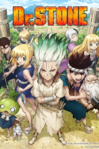 Download Dr. STONE (Season 1-2) Multi Audio {Hindi-English-Japanese} WeB-DL 480p [85MB] || 720p [150MB] || 1080p [490MB]