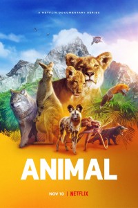 Download Animal (Season 1) {English With Subtitles} Web-DL 720p [350MB] || 1080p [2.3GB]