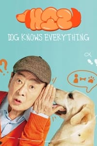 Download Dog Knows Everything (Season 1) [S01E08 Added] {Korean With Subtitles} WeB-DL 720p [420MB] || 1080p [600MB]