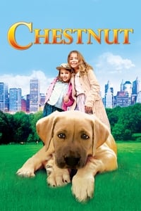 Download Chestnut Hero of Central Park (2004) Dual Audio {Hindi-English} Esubs WEB-DL 480p [286MB] || 720p [835MB] || 1080p [1.7GB]